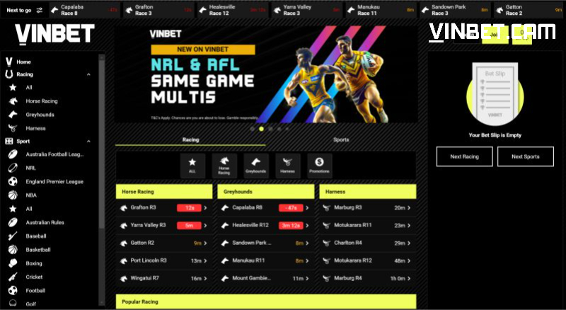 Giới thiệu nhà cái vinbet